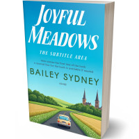 Tablet view of Scooter #335746 - Premade Travel Book Cover