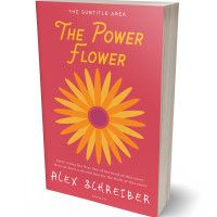 3D view of Mandy #335967 - Premade Abstract Book Cover | BookCoverZone