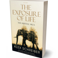 Tablet view of Log Cabin #33617 - Premade Travel Book Cover