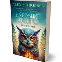 Tablet view of Blue Dianne #33627 - Premade Fantasy Book Cover