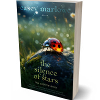 Tablet view of Aztec #33725 - Premade Surreal Book Cover