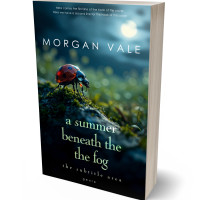 3D view of Black #33740 - Premade Poetry Book Cover | BookCoverZone