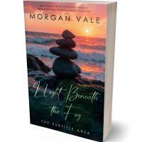 Tablet view of Outer Space #33746 - Premade Health & Mind & Body Book Cover