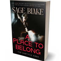 3D view of Premade Erotica Book Cover - Rangoon Green