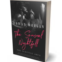 Tablet view of Mine Shaft #34243 - Premade Erotica Book Cover