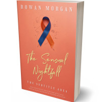 3D view of Terracotta #34267 - Premade Abstract Book Cover