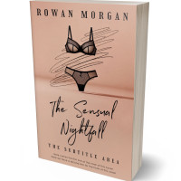 3D view of Tan #34268 - Premade Erotica Book Cover