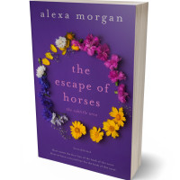 Tablet view of Minsk #34404 - Premade Literary Fiction Book Cover