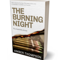 3D view of Premade Mystery & Thriller & Suspense Book Cover - Karaka