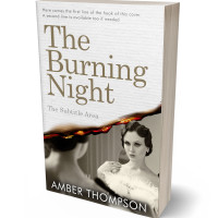 3D view of Premade Mystery & Thriller & Suspense Book Cover - Birch