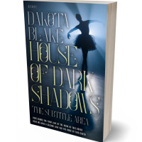 3D view of Premade Teen & Young Adult Book Cover - Big Stone