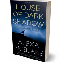 Tablet view of Ship Cove #34541 - Premade Mystery & Thriller & Suspense Book Cover | BookCoverZone