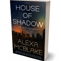 3D view of Premade Mystery & Thriller & Suspense Book Cover - Woodsmoke