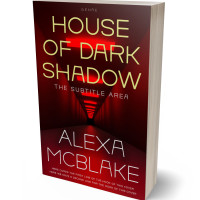 3D view of Premade Mystery & Thriller & Suspense Book Cover - Burnt Maroon