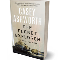 Tablet view of Sisal #34726 - Premade Mystery & Thriller & Suspense Book Cover