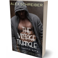 3D view of Dune #34810 - Premade Erotica Book Cover