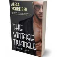 3D view of Mine Shaft #34814 - Premade Erotica Book Cover