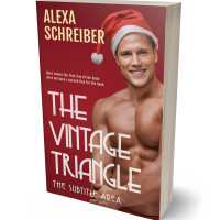 Tablet view of El Salva #34815 - Premade Erotica Book Cover