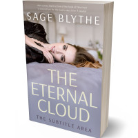 Tablet view of Santas Gray #35031 - Premade Erotica Book Cover