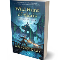 Tablet view of San Juan #35125 - Premade LitRPG Book Cover