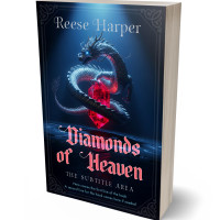 3D view of Ebony #35328 - Premade Fantasy Book Cover