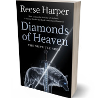 Tablet view of Cadet Blue #35329 - Premade Fantasy Book Cover