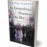 3D view of Bon Jour #35410 - Premade Mystery & Thriller & Suspense Book Cover