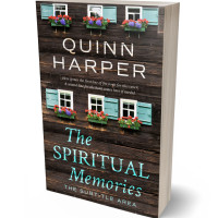 3D view of Birch #35562 - Premade Literary Fiction Book Cover