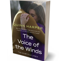 3D view of Woody Brown #35564 - Premade Romance Book Cover