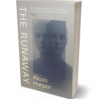 3D view of Oslo Gray #35609 - Premade Surreal Book Cover