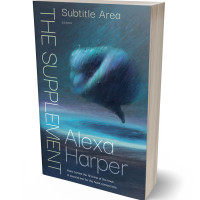 3D view of Pickled Bluewood #35619 - Premade Surreal Book Cover