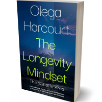 3D view of Chathams Blue #35627 - Premade Abstract Book Cover