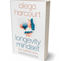 Tablet view of Gallery #35635 - Premade Abstract Book Cover