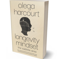 3D view of Double Spanish White #35636 - Premade Abstract Book Cover