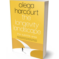 3D view of Casablanca #35672 - Premade Travel Book Cover