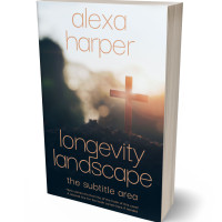 3D view of Ebony Clay #35675 - Premade Religion & Spirituality Book Cover