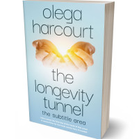 3D view of Botticelli #35681 - Premade Religion & Spirituality Book Cover