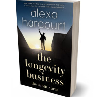 3D view of Tana #35725 - Premade Business Book Cover