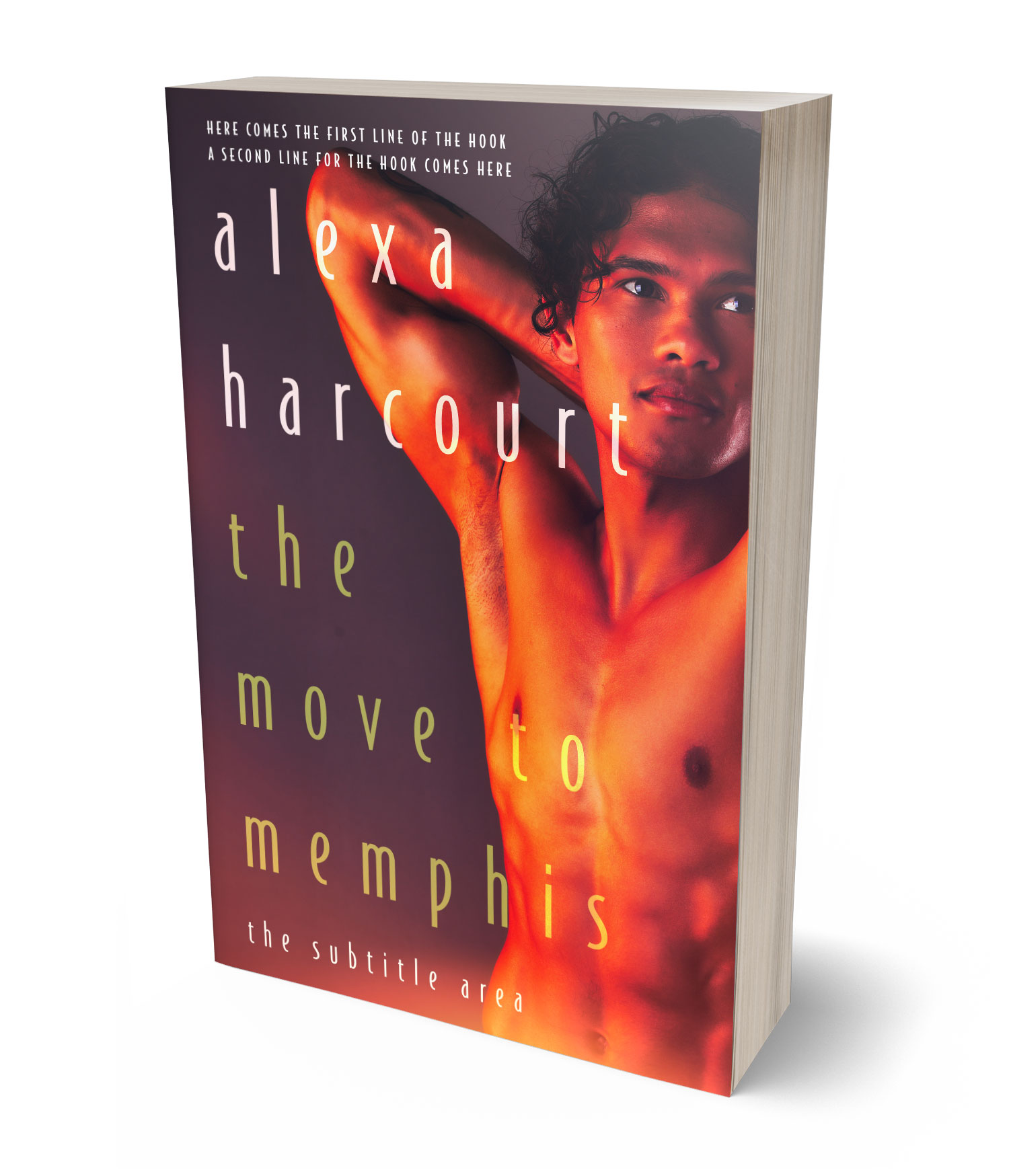 3D view of Congo Brown #35744 - Premade Erotica Book Cover | BookCoverZone*