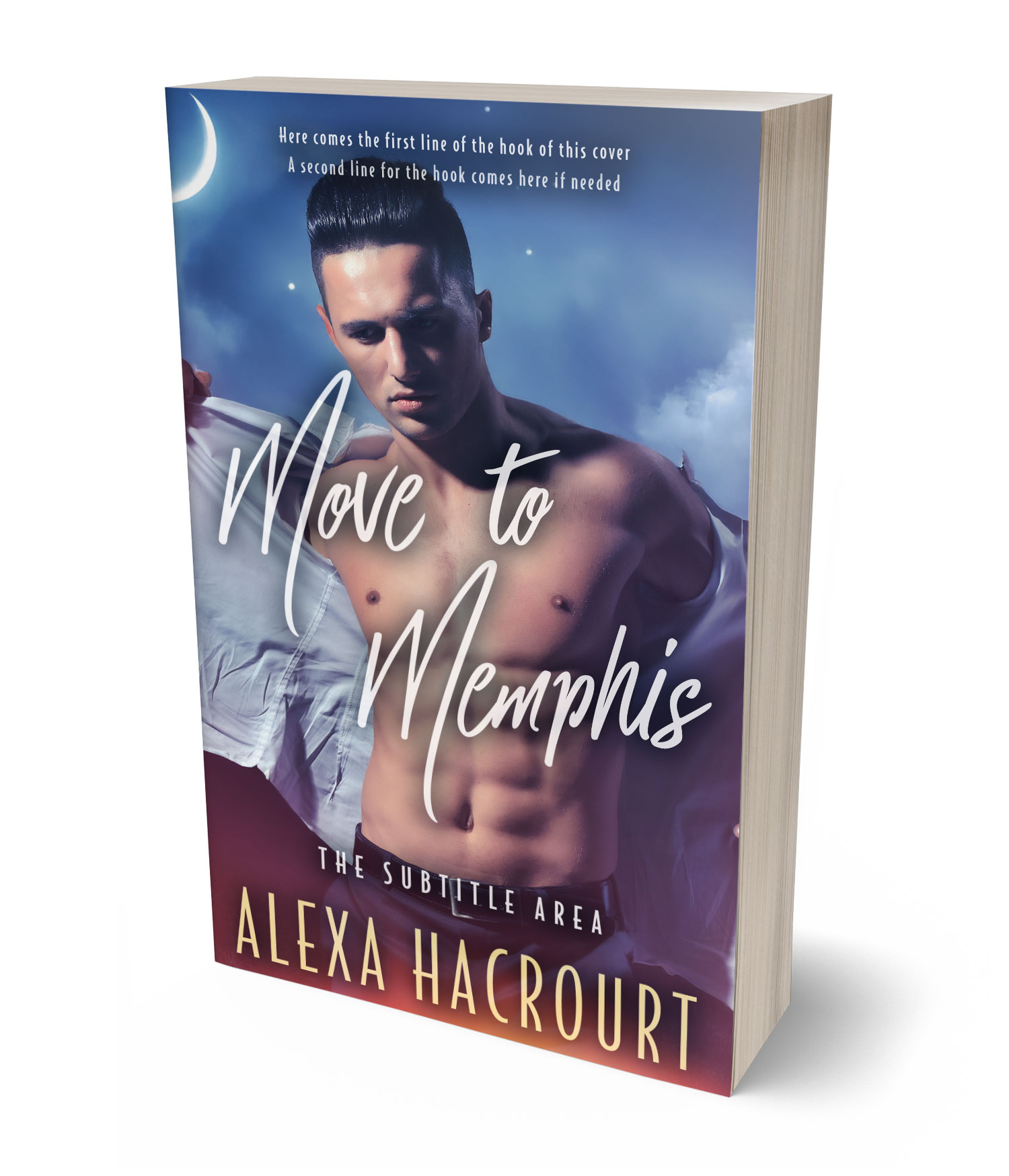 3D view of Mulled Wine #35760 - Premade Erotica Book Cover | BookCoverZone*