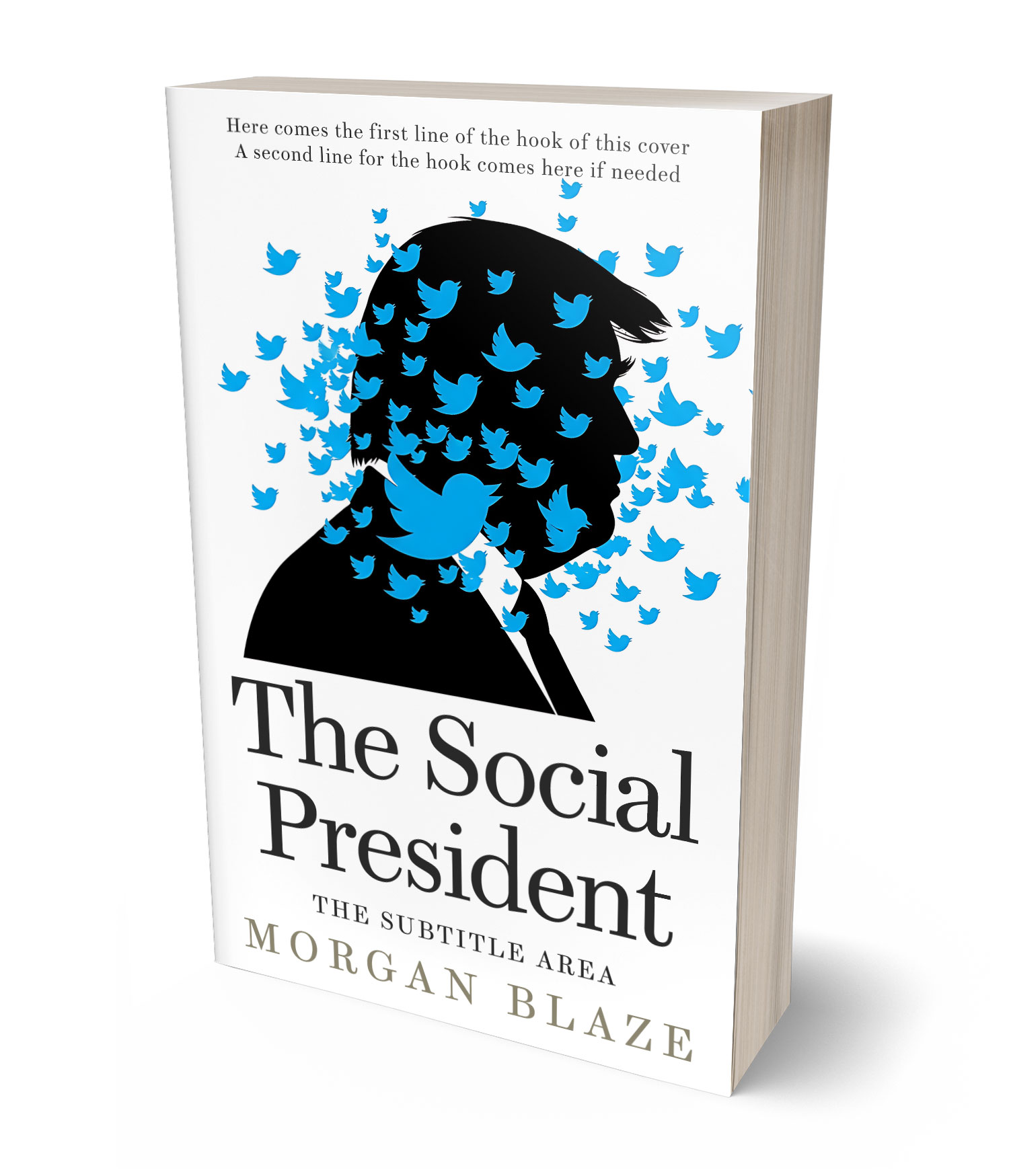 3D view of Premade Politics & Law & Society Book Cover - Pumice