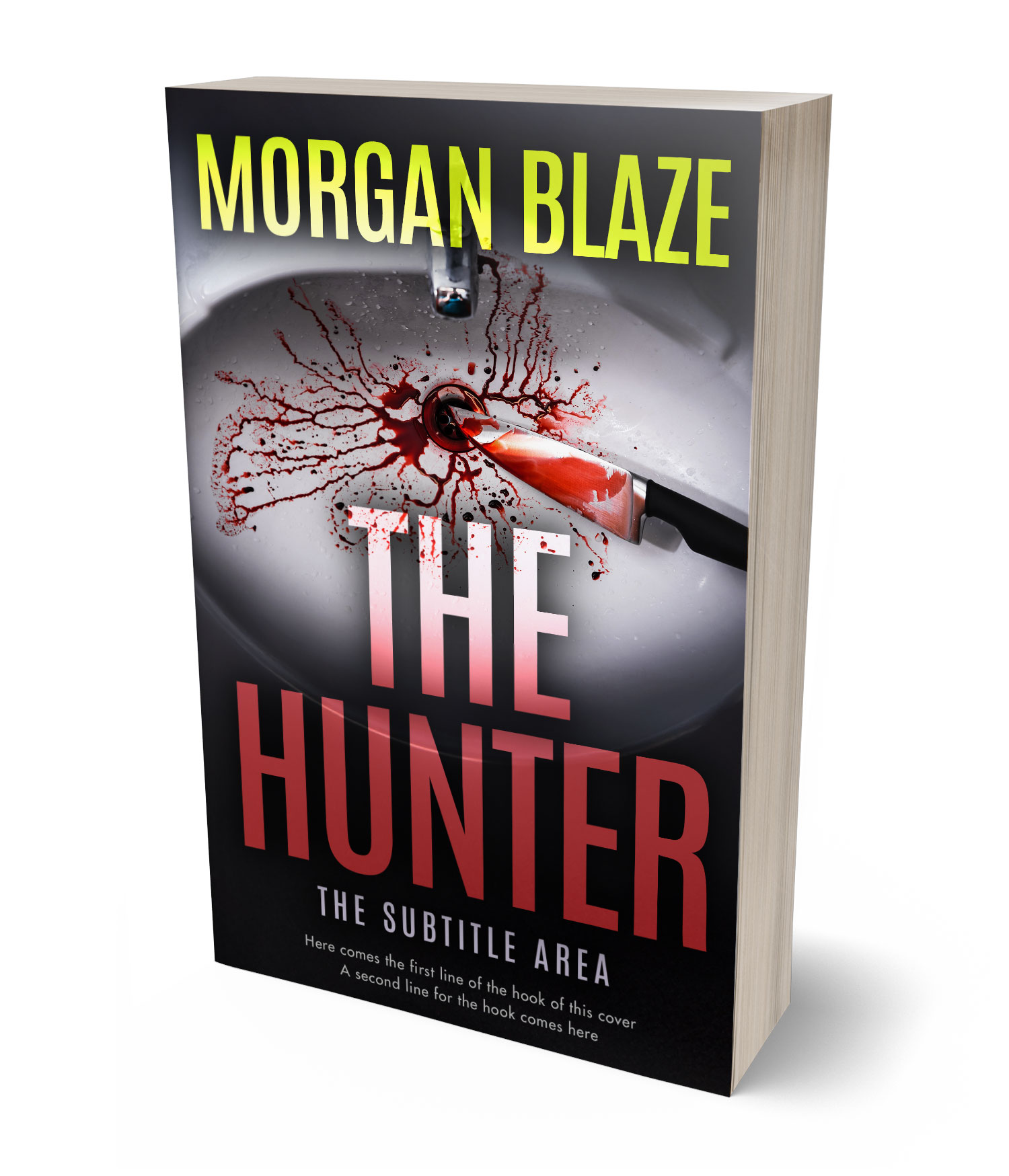 3D view of Premade Horror Book Cover - Akaroa