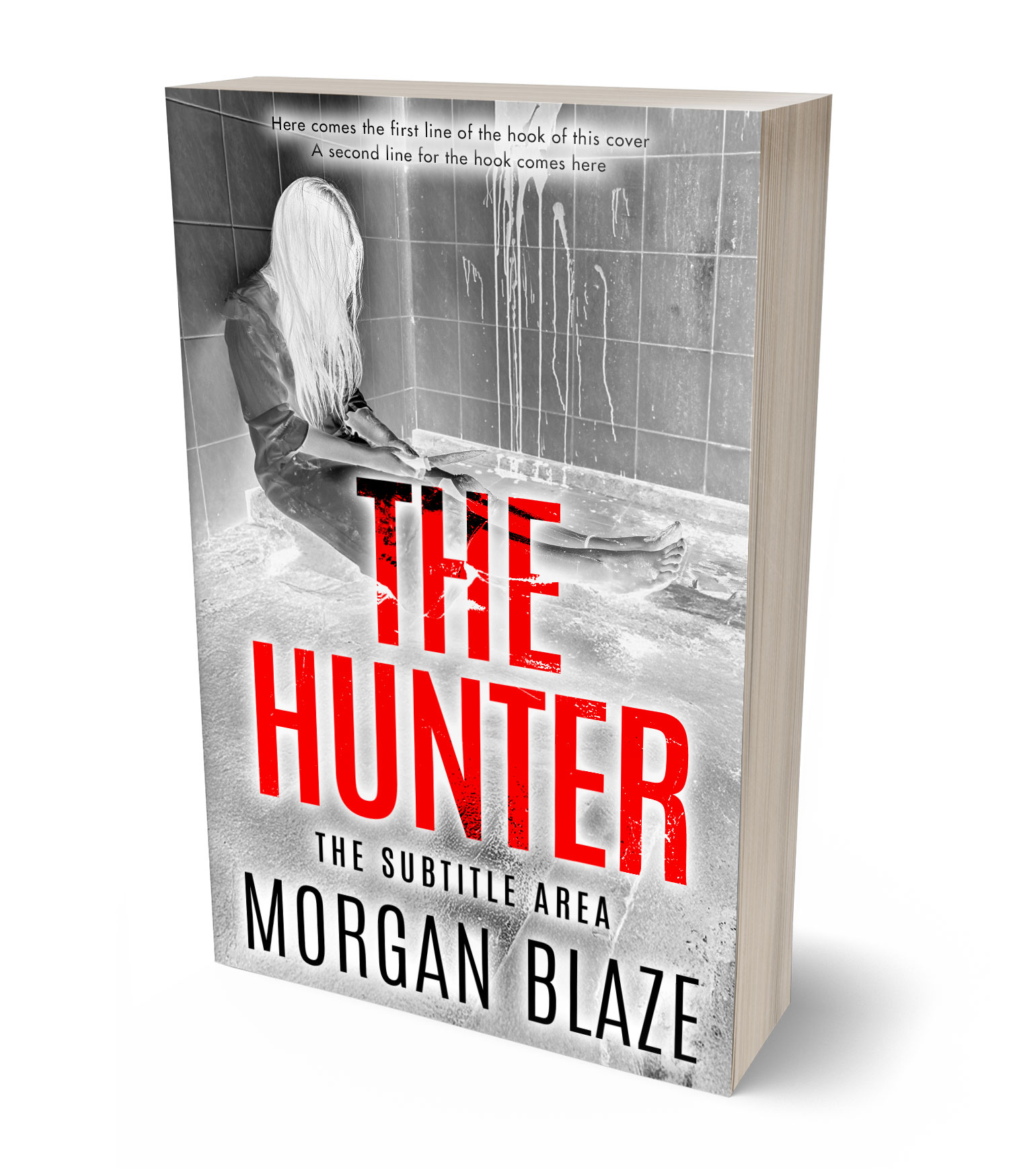 3D view of Premade Horror Book Cover - Silver