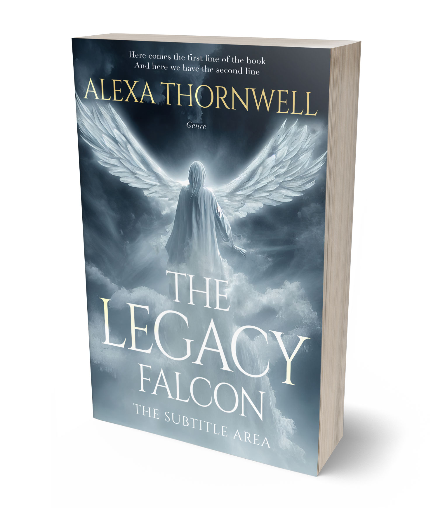 3D view of Custom & Premade Fantasy Book Cover - Regent Gray #35905 | BookCoverZone*