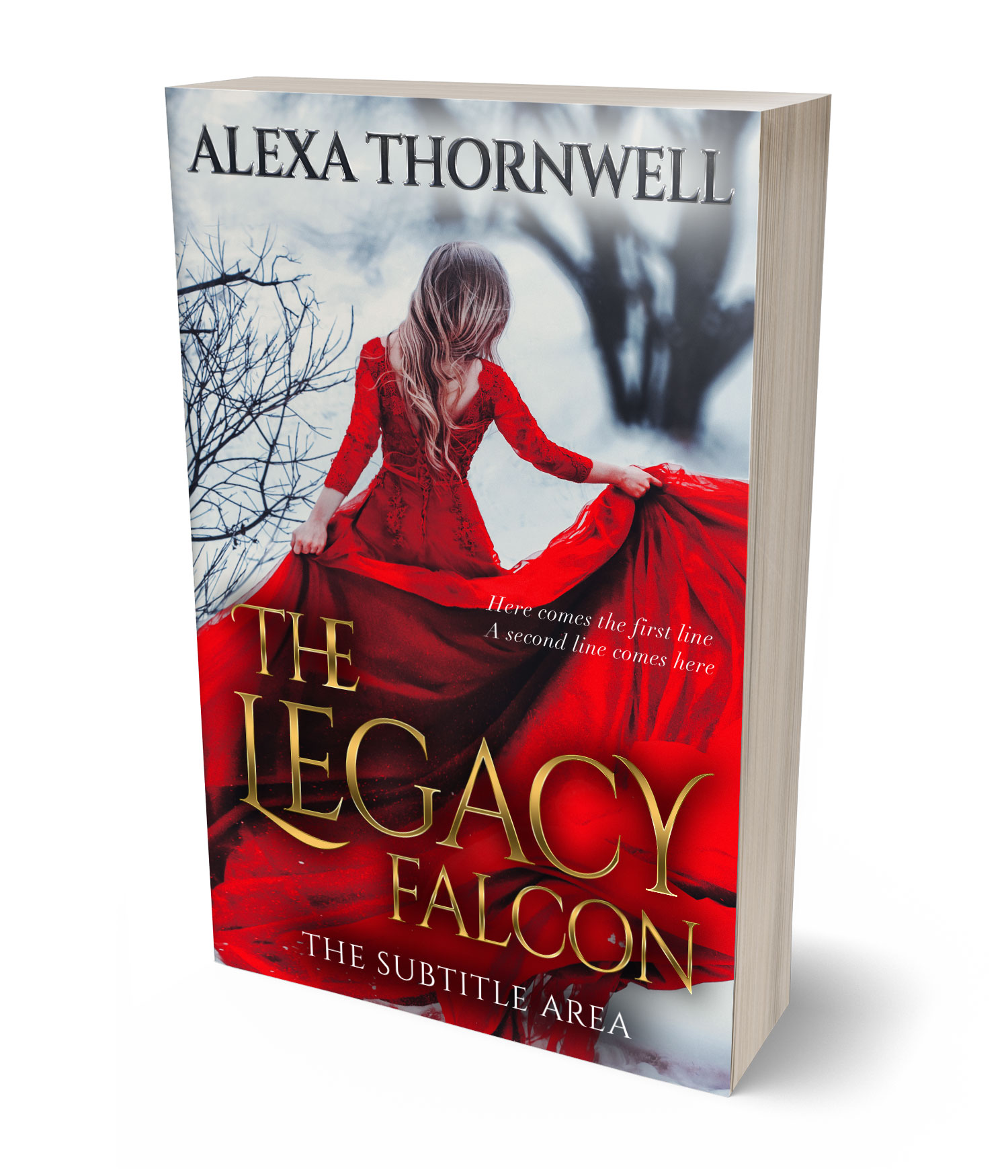 3D view of Custom & Premade Fantasy Book Cover - Pumice #35919 | BookCoverZone*