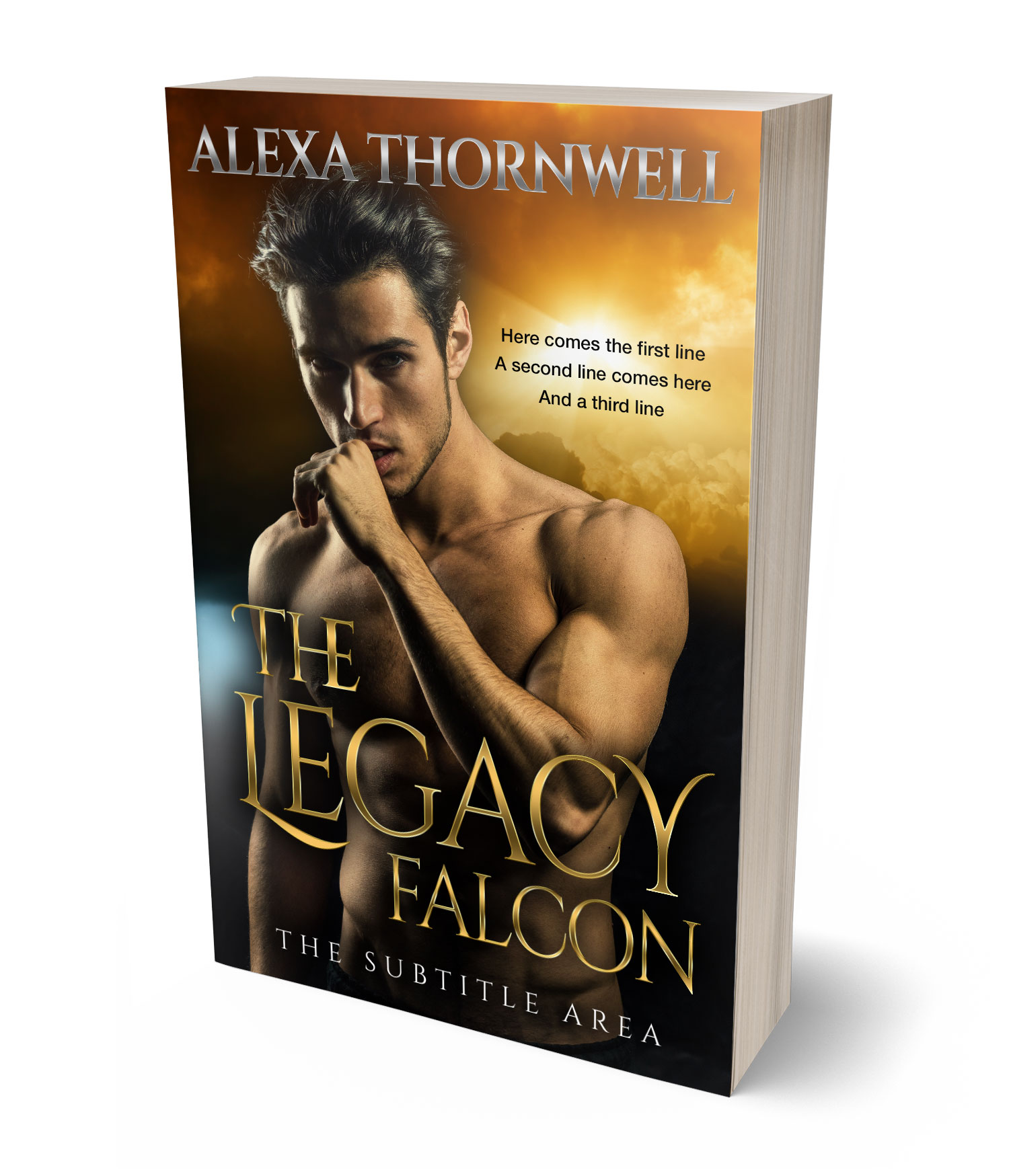 3D view of Custom & Premade Erotica Book Cover - Di Serria #35920 | BookCoverZone*