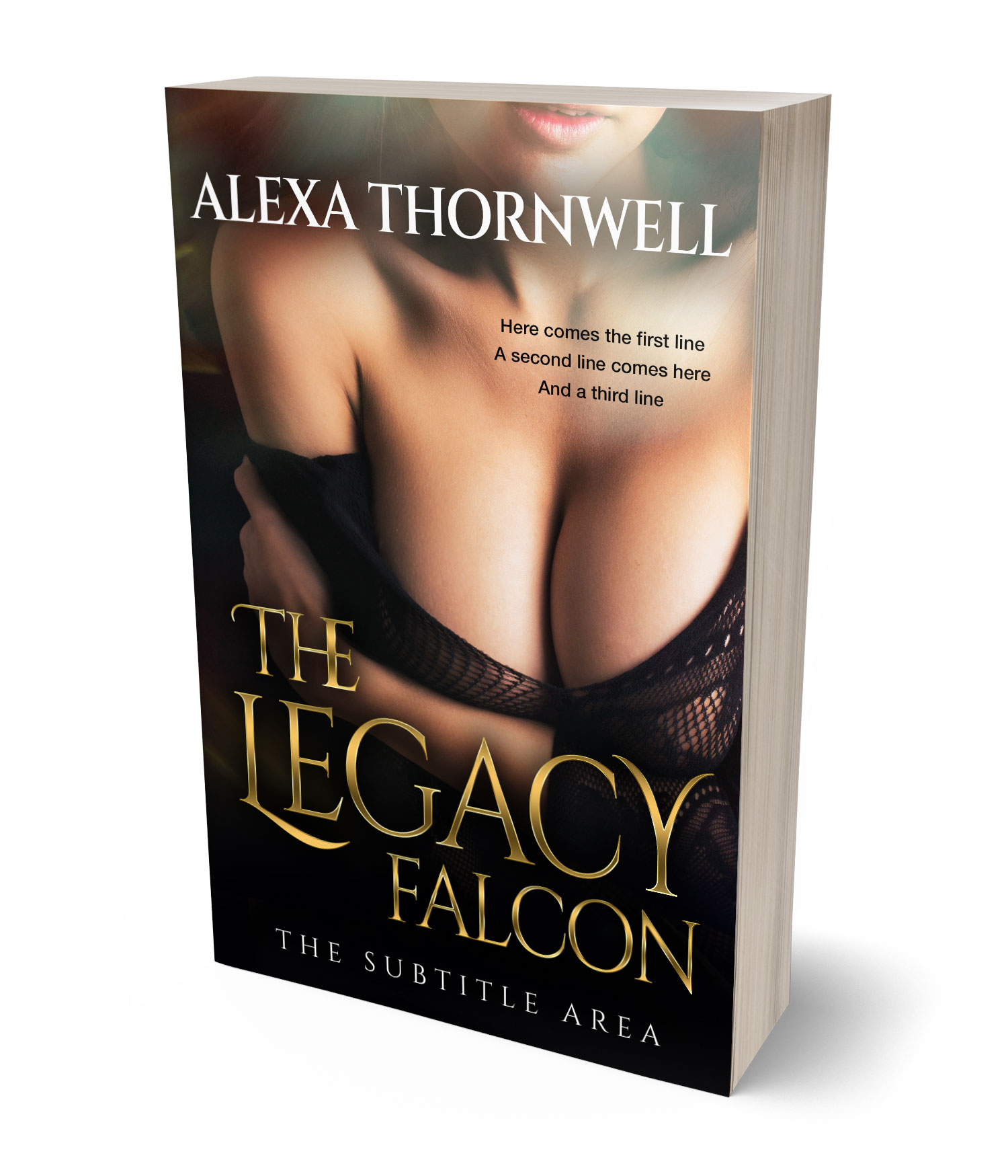 3D view of Custom & Premade Erotica Book Cover - Brandy #35921 | BookCoverZone*