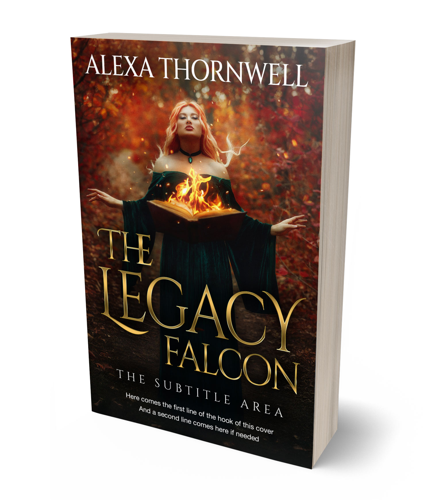 3D view of Custom & Premade Fantasy Book Cover - Night Rider #35923 | BookCoverZone*