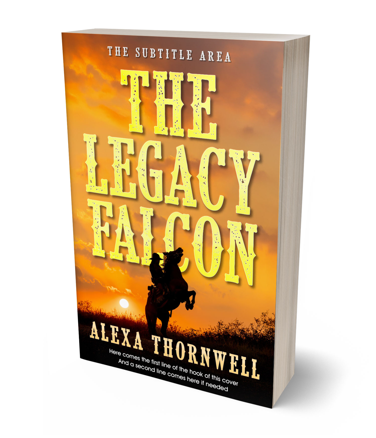 3D view of Custom & Premade Western Book Cover - Brandy Punch #36000 | BookCoverZone*