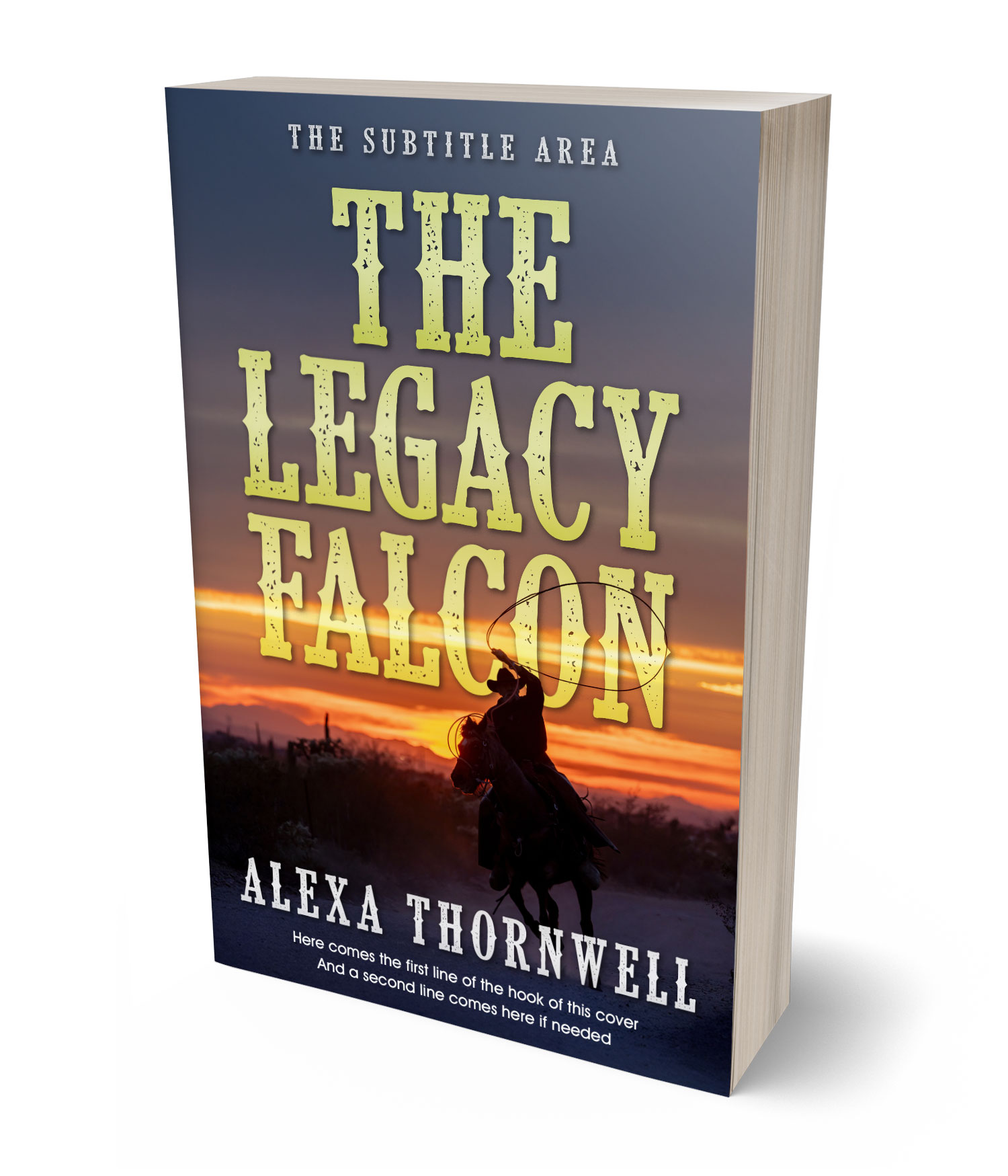 3D view of Custom & Premade Western Book Cover - Tuna #36009 | BookCoverZone*